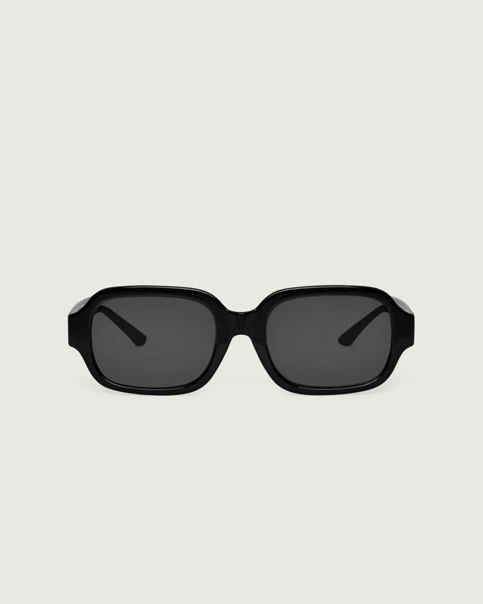 Ink Polarized / Black / Black