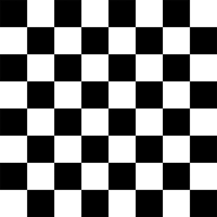SINGLE ROLL / Black and White Check