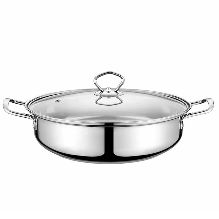 CICS501BK INDUCTION COOKER WITH POT