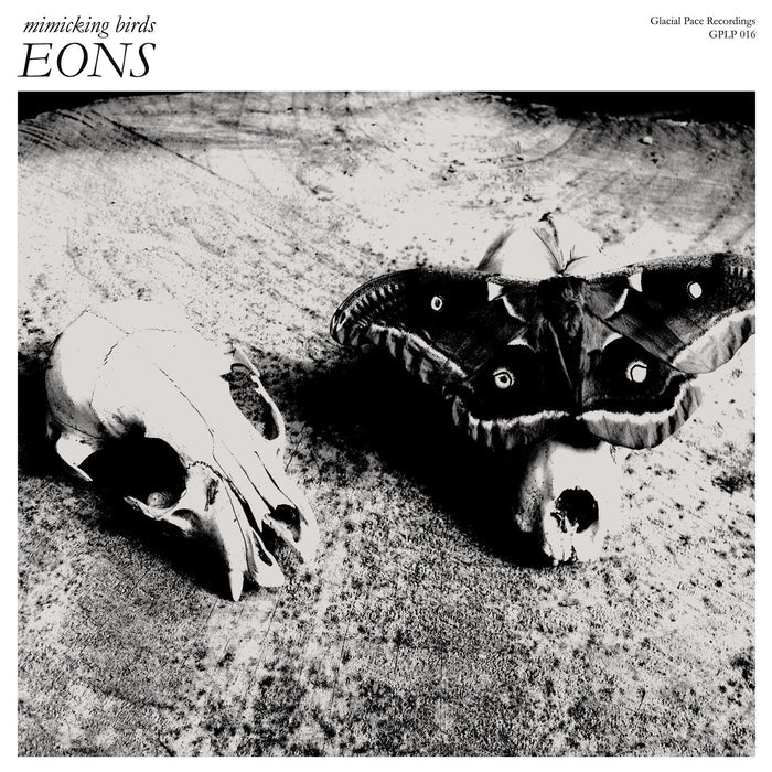 Fat Possum - Eons Vinyl & Merch | Fat Possum Records