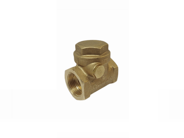 EUROPA SWING, VALVE CHECK, BRASS, DURABLE, PLUMBING NECESSITY, LONG LASTING, STURDY, WEATHER RESISTANT - EUR0006 MEGA