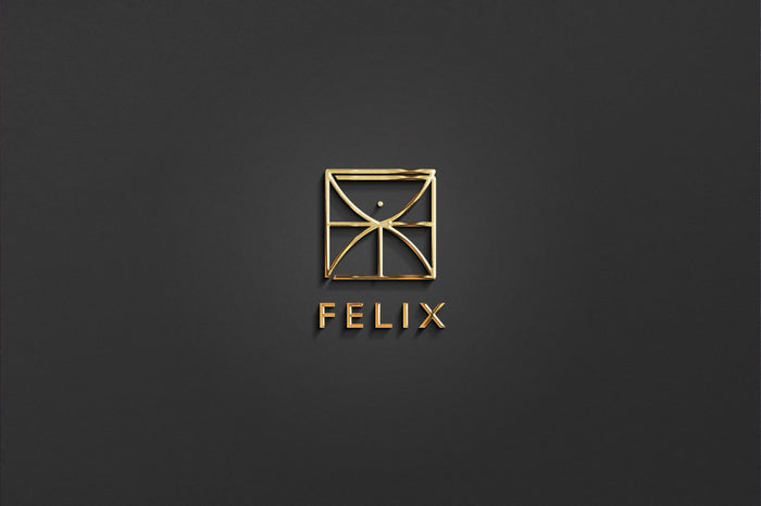 FELIX - Name Logo Design | Instant Download | Premade Logo | Minimalist Design