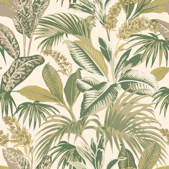 SINGLE ROLL / Tropical Green