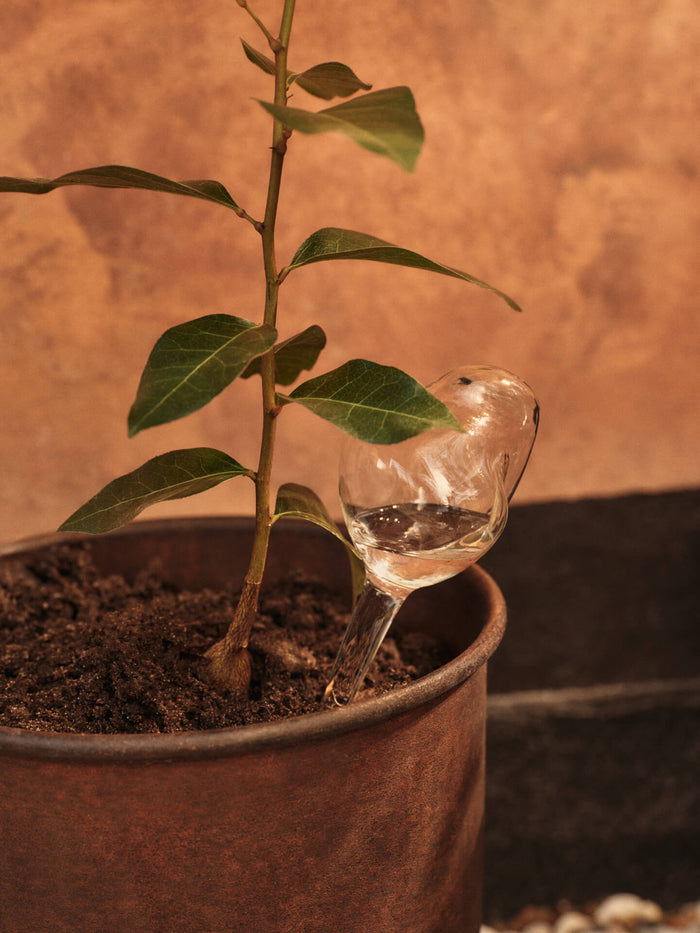 Mercury Water Globes Set/2 - More Options - BEAM