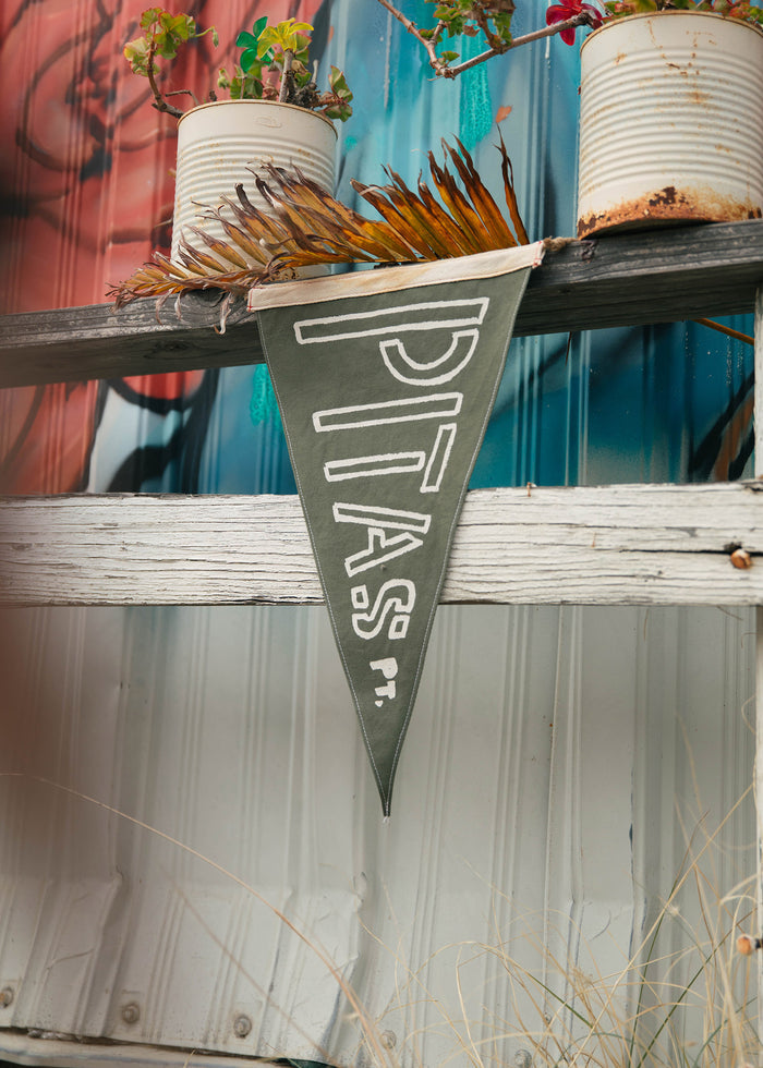 A green pennant with "PTAS" hangs on a rustic shelf with potted plants and dried leaves against a colorful mural background.