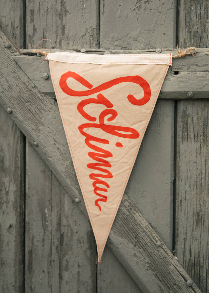 A vintage pennant with "Selina" in red script hangs on a rustic gray wooden wall, adding a nostalgic touch to the scene.