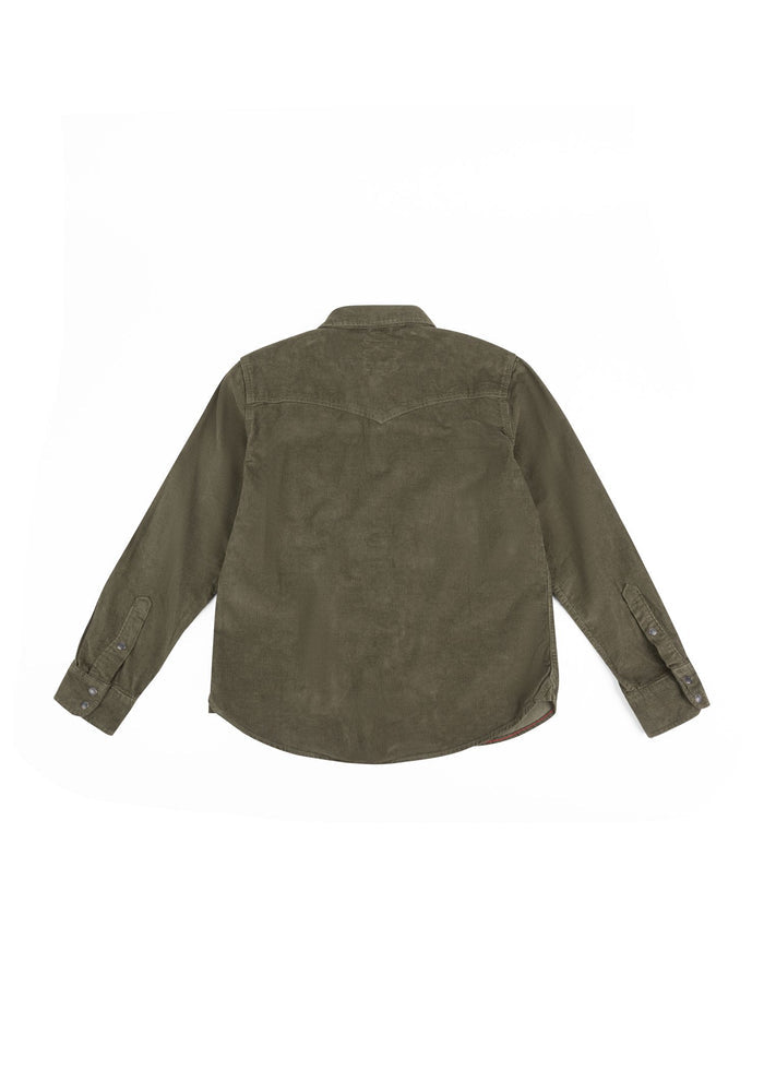Olive green corduroy shirt viewed from the back, featuring long sleeves and buttoned cuffs on a plain white background.