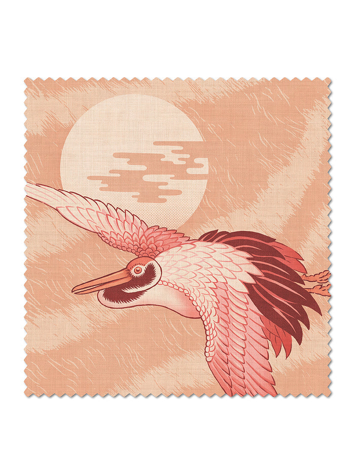Peach Paloma