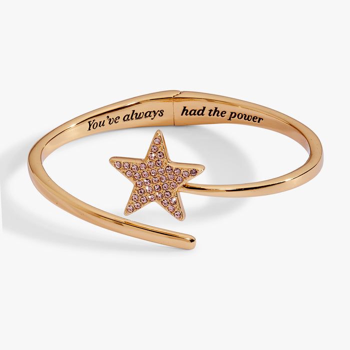 The Wizard of Oz™ 'Good Witch & Bad Witch Power Cuffs' Bundle