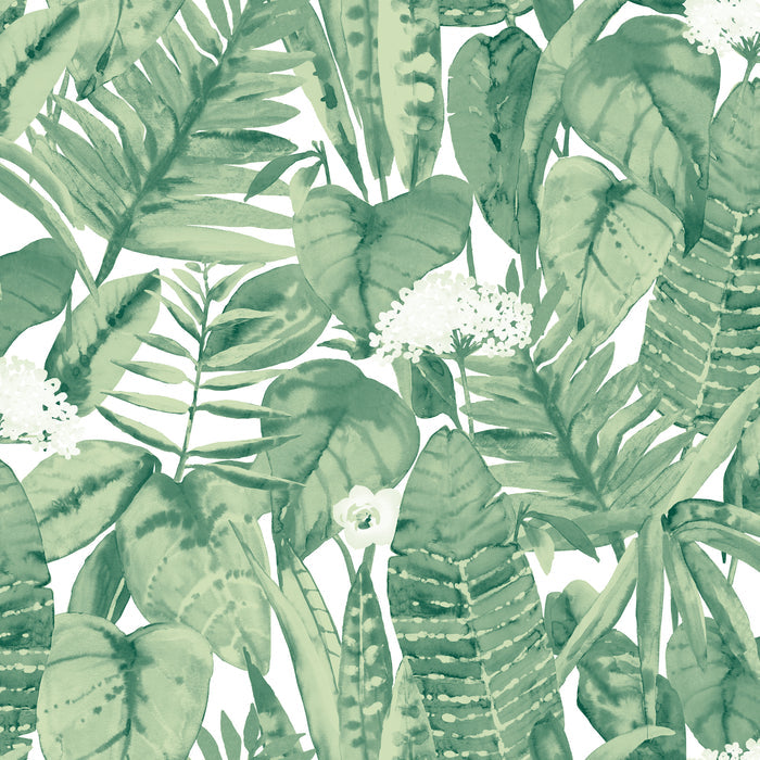 SINGLE ROLL / Jungle Green Leaves