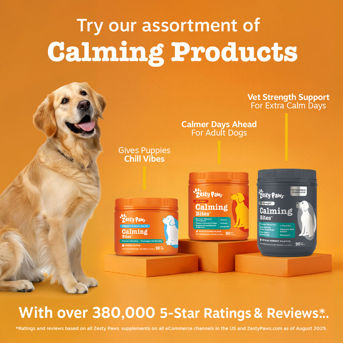 Vet Strength Calming Bites for Dogs