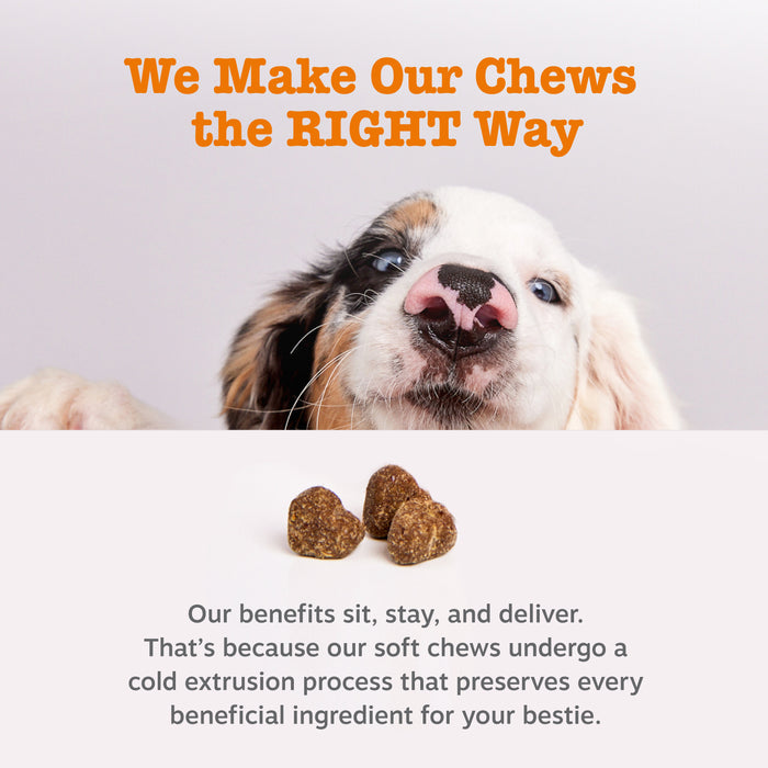 Brown dog treat bites displayed with a dog's face looking upward.