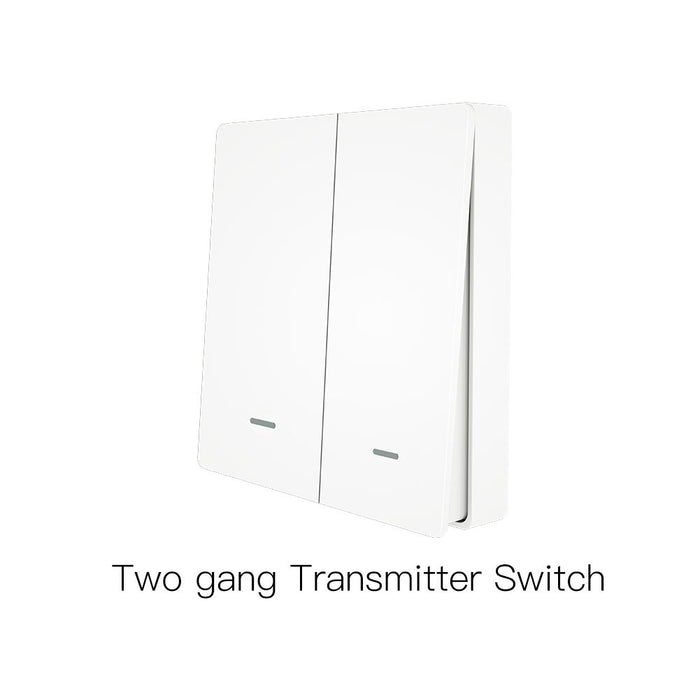 White / 2 Gang Vice Switch