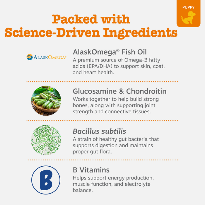 Infographic listing ingredients in puppy multivitamin bites: AlaskOmega Fish Oil, Glucosamine & Chondroitin, Bacillus subtili