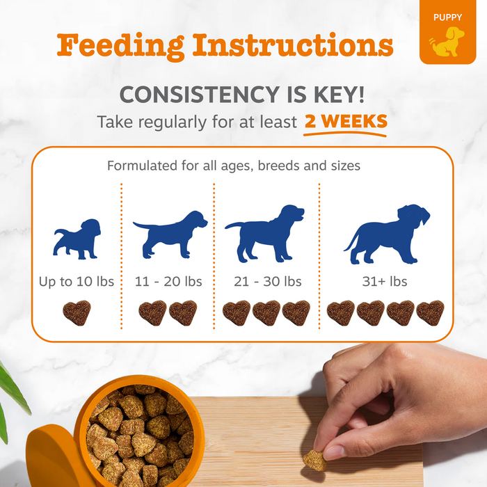 Feeding instructions chart showing puppy multivitamin bites dosage by weight with silhouettes and heart-shaped treats in oran