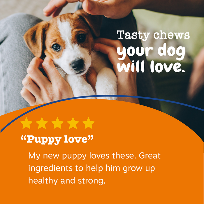 Brown and white puppy held in human hands with multivitamin bite treats displayed below.