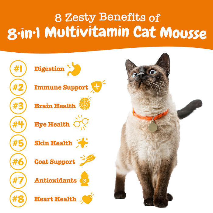 Siamese cat wearing orange collar standing upright with numbered benefit list on orange banner background.