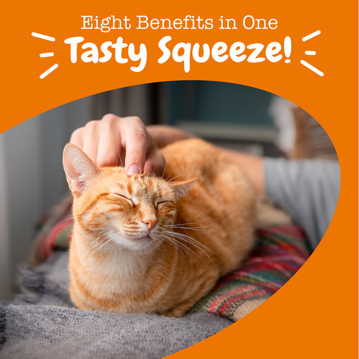 Orange tabby cat being petted by a person's hand on an orange and white promotional background.