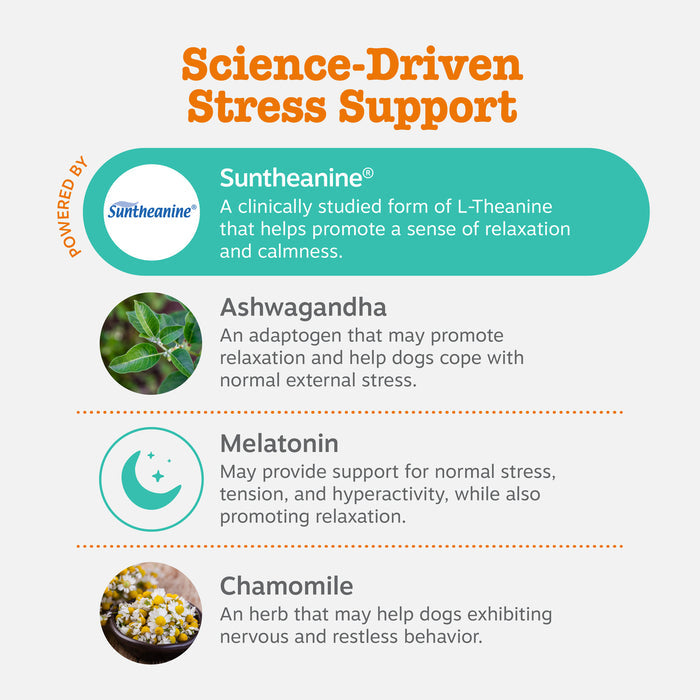Infographic displaying key ingredients for dog calming supplement: Suntheanine, Ashwagandha, Melatonin, and Chamomile with de