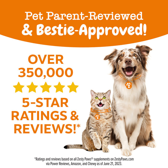Brown and white dog and orange tabby cat wearing paw-print collars on orange and white background with text.