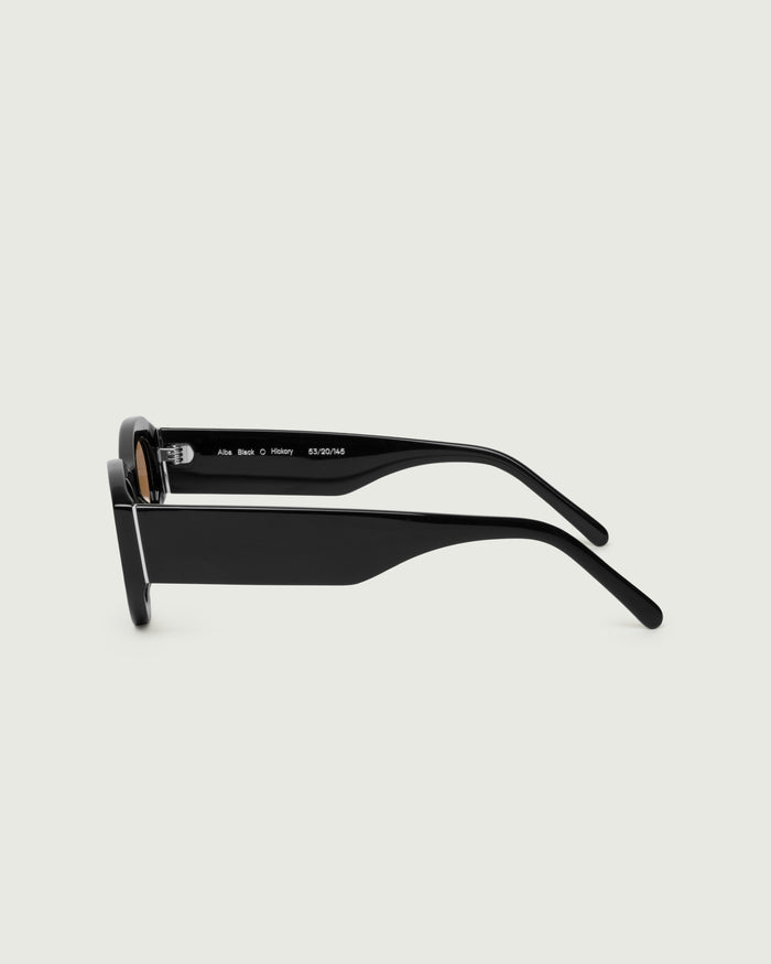 Black::Alba Sunglasses cateye brown acetate side