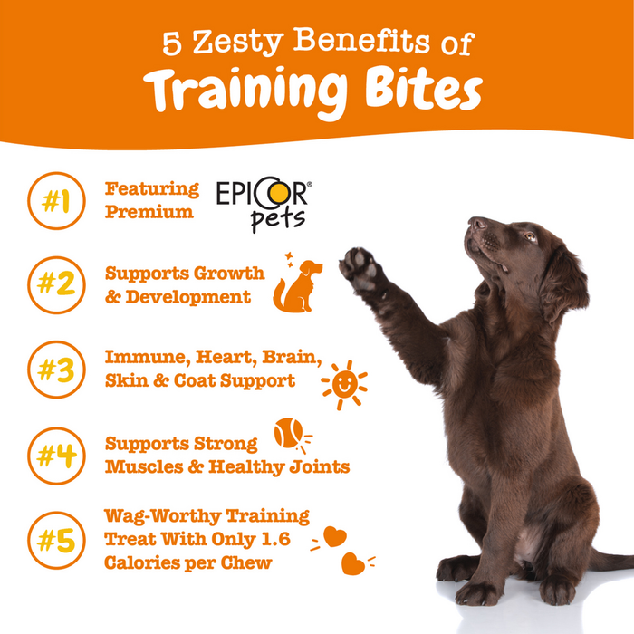 Brown dog standing on hind legs with paws raised, shown against white background with orange text banner above.