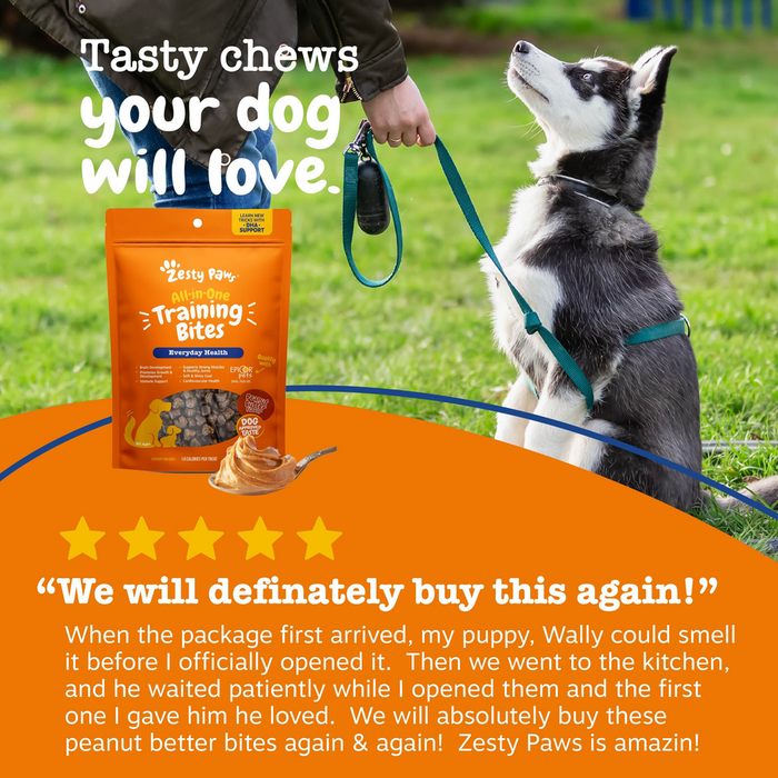 Black and white dog on leash looking up at person holding orange Zesty Paw Training Bites package in grassy outdoor setting.