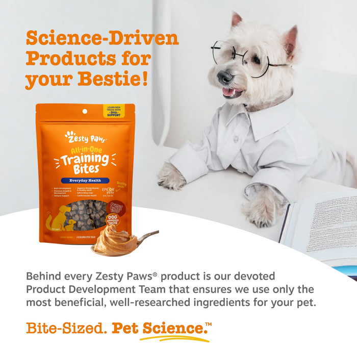 Orange Zesty Paws training bites pouch next to a white dog wearing glasses and shirt reading a book.