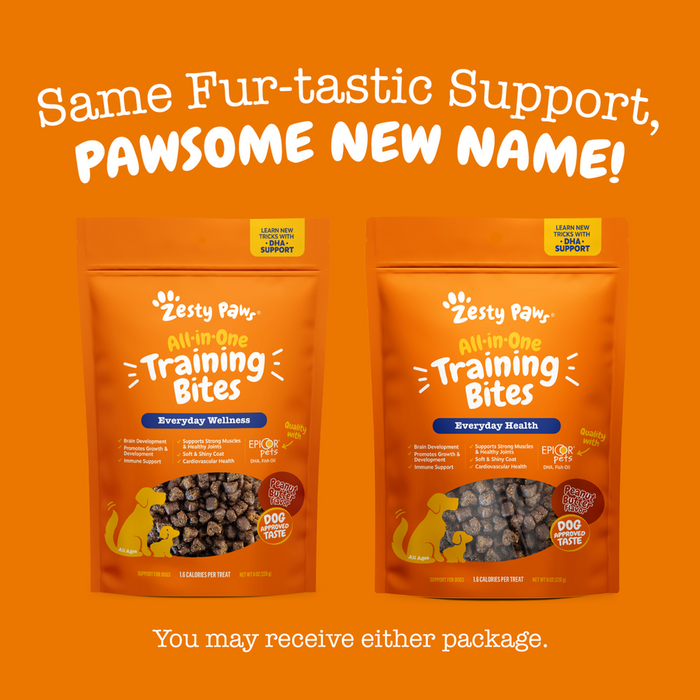 Two orange pouches of Zesty Paw All-in-One Training Bites in Everyday Wellness and Everyday Health varieties displayed agains