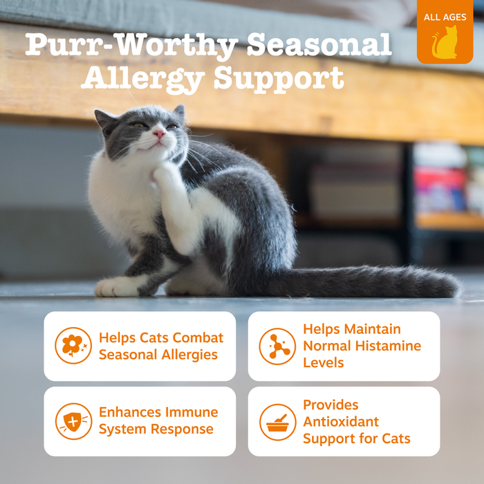Gray and white cat sitting on floor with product benefits text and orange "All Ages" icon displayed.