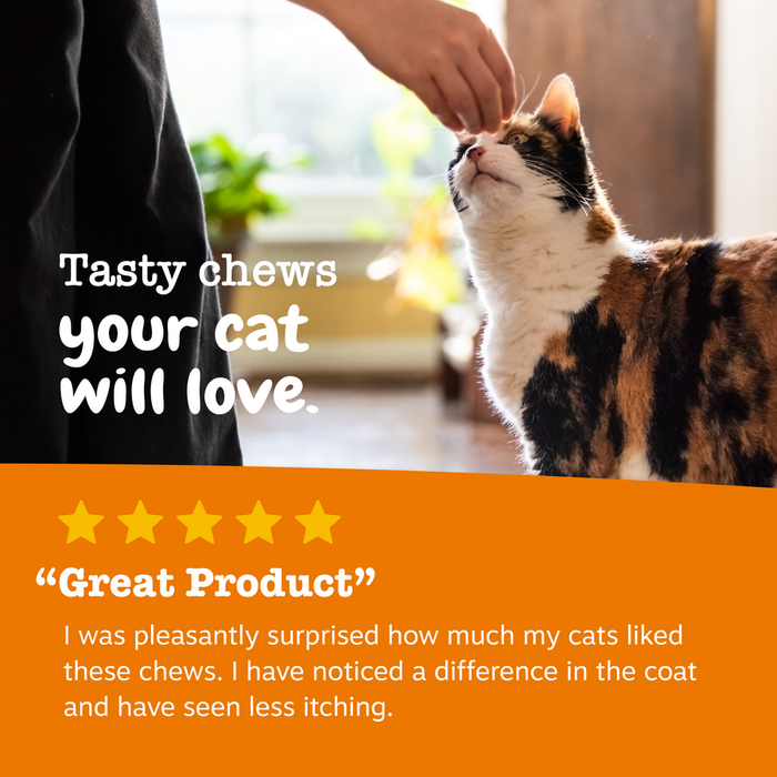 Black and white cat receiving treat from person's hand indoors near window.