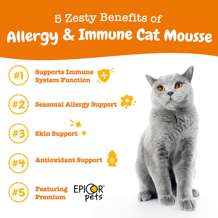 Gray cat sitting with orange text listing five benefits of Allergy & Immune Cat Mousse on white background.