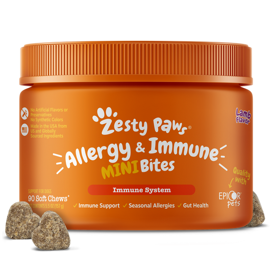 Orange jar of Zesty Paws Allergy & Immune Mini Bites with tan-colored soft chews displayed in front.
