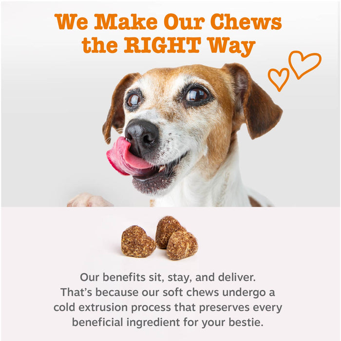 Small brown and white dog with pink tongue and three brown soft chew treats on white background.