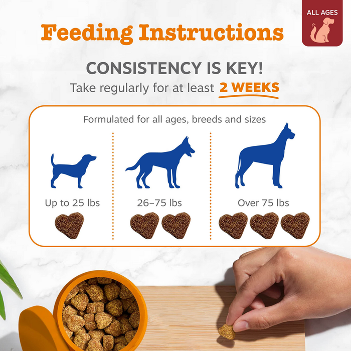 Feeding instructions chart showing dog silhouettes and heart-shaped treats with dosage guidelines by weight category.