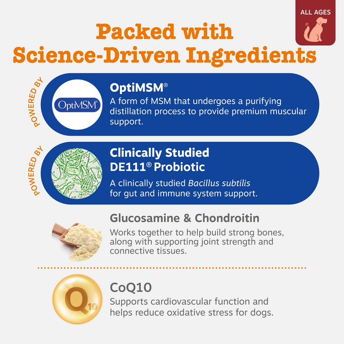 Product ingredient infographic listing OptiMSM, DE111 Probiotic, Glucosamine & Chondroitin, and CoQ10 for dog supplements.