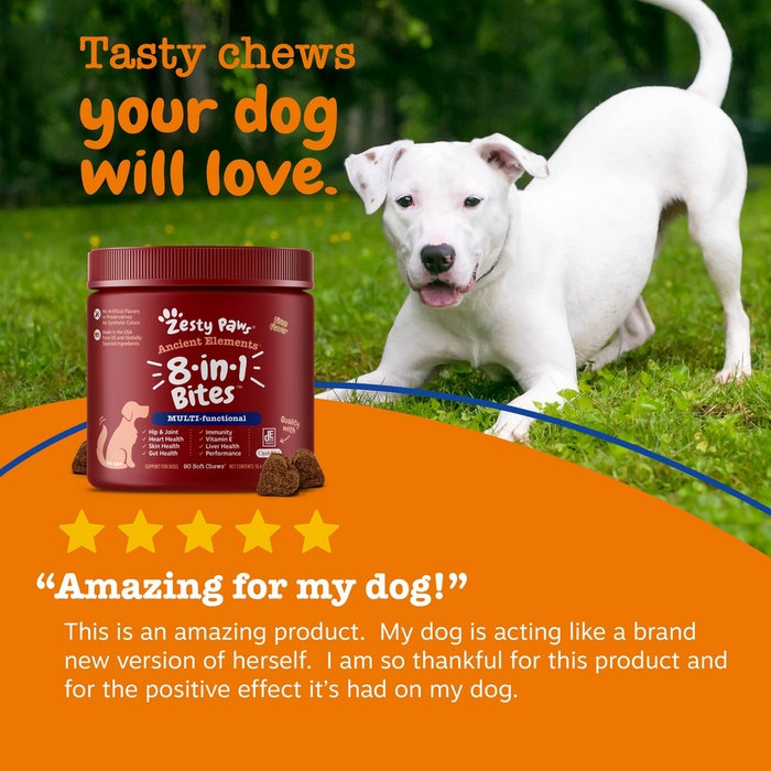 Red jar of Ancient Elements 8-in-1 Bites dog treats with white dog on grass in background.