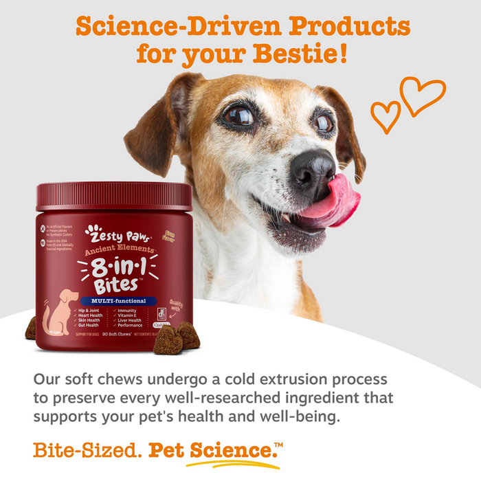 Brown and white dog with tongue out next to burgundy jar of Ancient Elements 8-in-1 Bites soft chews with paw logo.