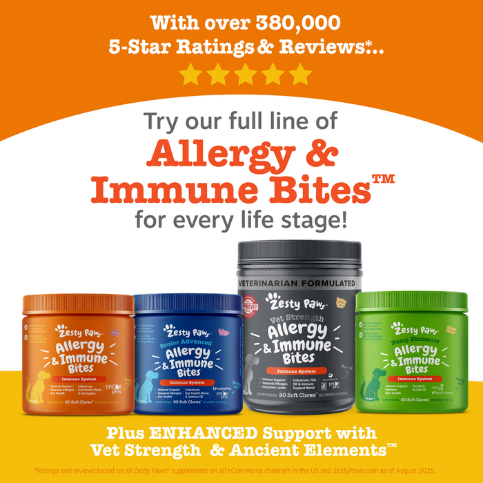 Four Zesty Paw Allergy & Immune Bites bottles in orange, blue, gray, and green containers with white paw logo labels.