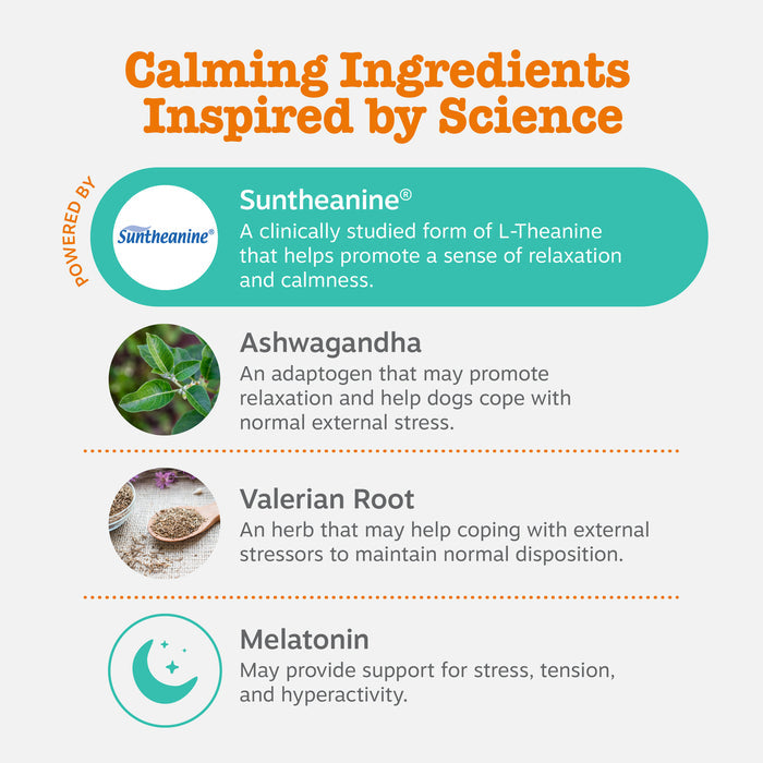 Infographic listing calming ingredients: Suntheanine, Ashwagandha plant leaves, Valerian Root powder, and Melatonin with moon