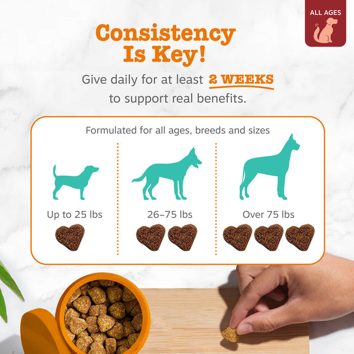Dosage guide for dog treats showing breed sizes, heart-shaped bites in orange bowl, and hand holding single bite.