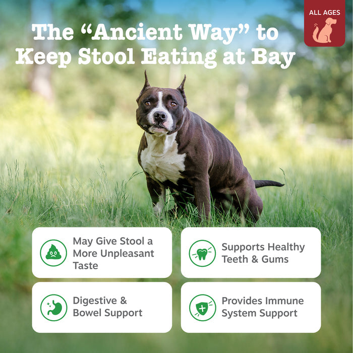 Brown and white dog standing in grass with product benefit text and icons displayed below.