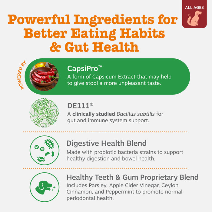 Dog chew treats with capsicum extract, Bacillus subtilis, probiotics, and herbs for digestive and dental health.