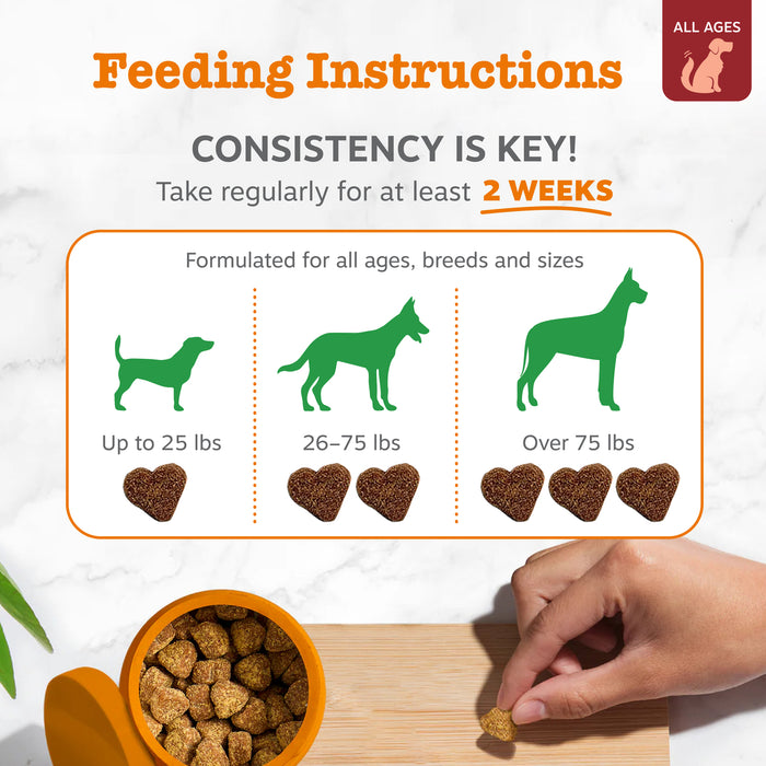 Feeding instructions chart with dosage guidance by dog size, orange bowl with treats, and hand holding a single bite.