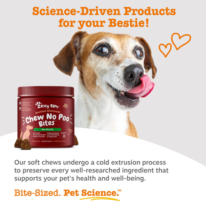 Red jar of Zesty Paws Ancient Elements Chew No Poo Bites next to brown and white dog with tongue out.