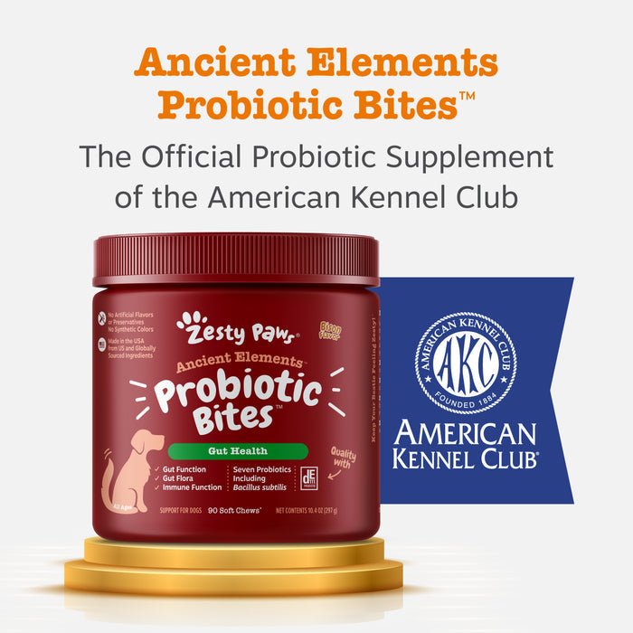 Red jar of Ancient Elements Probiotic Bites with green label on gold platform next to American Kennel Club logo badge.