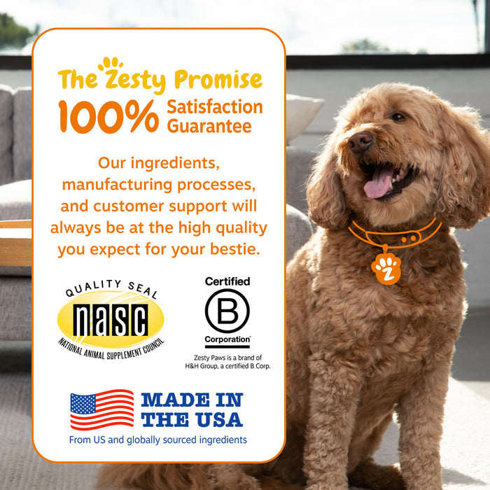 Brown curly-haired dog wearing orange collar with paw tag, standing indoors next to product information card.