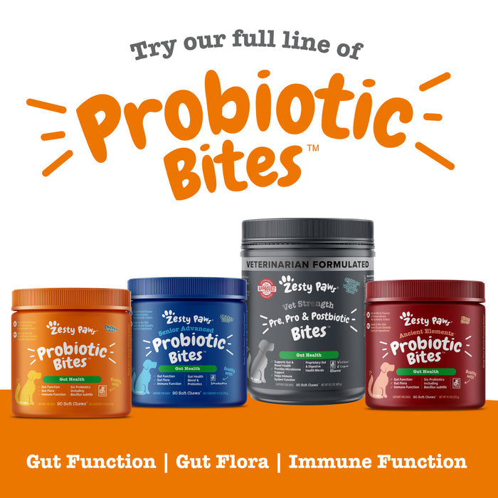 Four containers of Zesty Paw Probiotic Bites for dogs in orange, blue, gray, and burgundy jars with labels.