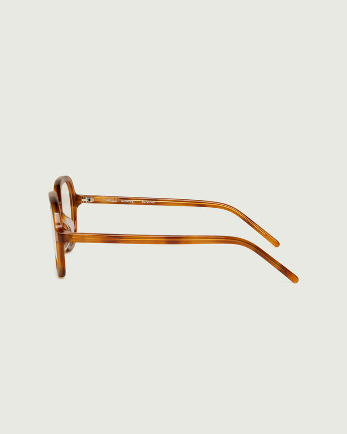 Giraffe::Apollo Eyeglasses round tort acetate side
