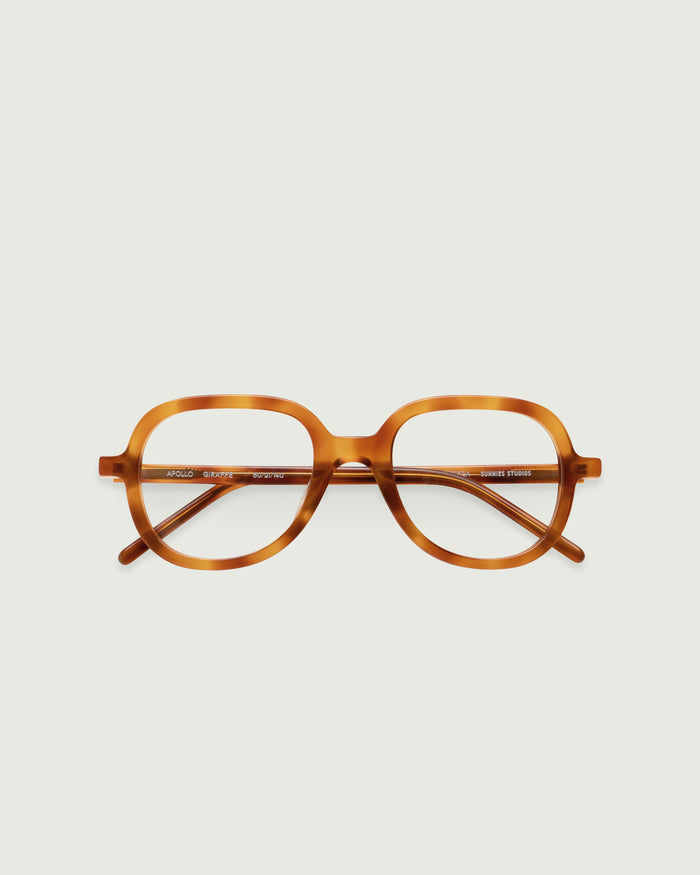 Giraffe::Apollo Eyeglasses round tort acetate top